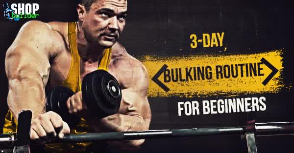 Bulking routine hot sale