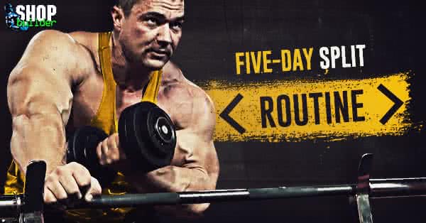 Five day gym split sale